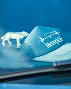 Mustang Fever -  19 april 2026