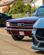 Mustang Fever -  19 april 2026