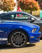 Mustang Fever -  19 april 2026