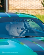 Mustang Fever -  19 april 2026