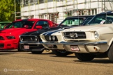 Mustang Fever -  19 april 2026