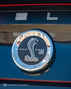 Mustang Fever -  19 april 2026