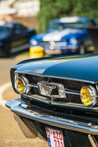 Mustang Fever -  19 april 2026