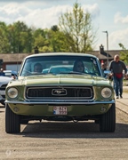 Mustang Fever -  19 april 2026
