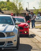 Mustang Fever -  19 april 2026