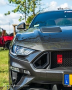 Mustang Fever -  19 april 2026