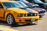 Mustang Fever -  19 april 2026