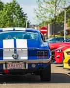 Mustang Fever -  19 april 2026