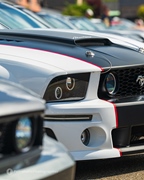 Mustang Fever -  19 april 2026