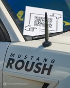 Mustang Fever -  19 april 2026