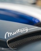 Mustang Fever -  19 april 2026