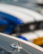 Mustang Fever -  19 april 2026