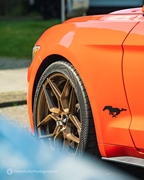 Mustang Fever -  19 april 2026