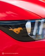 Mustang Fever -  19 april 2026