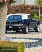 Mustang Fever -  19 april 2026