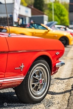 Mustang Fever -  19 april 2026