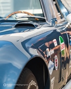 Mustang Fever -  19 april 2026