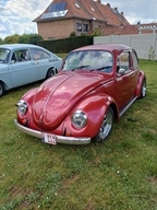 Lentefeest aan de molen - Tessenderlo-Ham -  19 april 2026