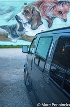 Bar Choque on Thursday Citadel diest -  16 april 2026