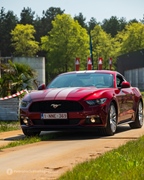 Dag & Nacht van de Paardenkracht // Lake Valley Tour -  25 april 2026