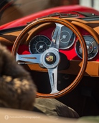 Dag & Nacht van de Paardenkracht // Lake Valley Tour -  25 april 2026