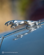 Dag & Nacht van de Paardenkracht // Lake Valley Tour -  25 april 2026