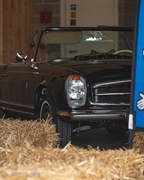 Dag & Nacht van de Paardenkracht // Lake Valley Tour -  25 april 2026