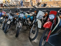 Cars & Coffee Zoersel -  1 mei 2026