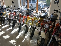 Cars & Coffee Zoersel -  1 mei 2026