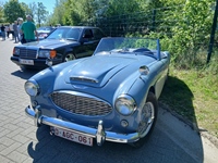 Cars & Coffee Zoersel -  1 mei 2026