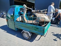 Cars & Coffee Zoersel -  1 mei 2026