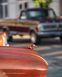 Engelse Oldtimeravond // Classic Cars Peer -  30 april 2026