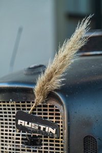 Engelse Oldtimeravond // Classic Cars Peer -  30 april 2026