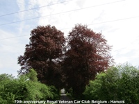 70th anniversary Royal Veteran Car Club Belgium - Hamois -  2 mei 2026