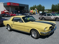 Opendeurweekend bij Oldtimerfarm – Porsche Edition -  1 mei 2026