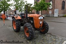 Meirit Oude Gloriën - Doorslaar -  3 mei 2026
