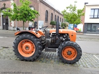 Meirit Oude Gloriën - Doorslaar -  3 mei 2026