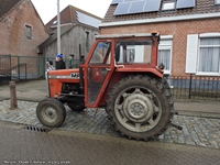 Meirit Oude Gloriën - Doorslaar -  3 mei 2026