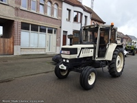 Meirit Oude Gloriën - Doorslaar -  3 mei 2026
