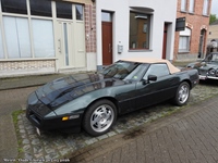 Meirit Oude Gloriën - Doorslaar -  3 mei 2026