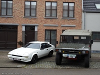 Meirit Oude Gloriën - Doorslaar -  3 mei 2026