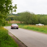 Corsendonkrit -  3 mei 2026