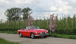MG Bloesemrit -  19 april 2026