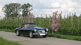 MG Bloesemrit -  19 april 2026