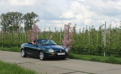 MG Bloesemrit -  19 april 2026