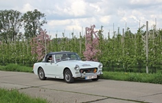MG Bloesemrit -  19 april 2026