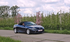 MG Bloesemrit -  19 april 2026