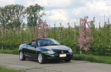 MG Bloesemrit -  19 april 2026