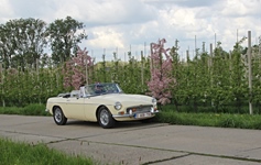 MG Bloesemrit -  19 april 2026