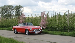MG Bloesemrit -  19 april 2026